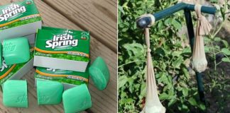 10 Ways To Use Irish Spring Soap That Have Nothing To Do With Lathering Up