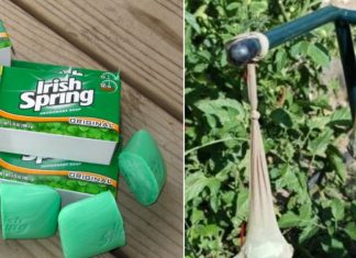 10 Ways To Use Irish Spring Soap That Have Nothing To Do With Lathering Up