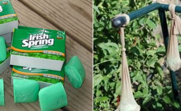 10 Ways To Use Irish Spring Soap That Have Nothing To Do With Lathering Up