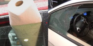 The Potential Dangers Of Automatic Car Windows And How A Roll Of Paper Towels Can Help