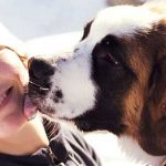 8 Ways Your Dog Shows That They Love You
