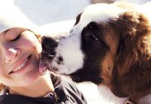 8 Ways Your Dog Shows That They Love You