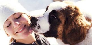 8 Ways Your Dog Shows That They Love You