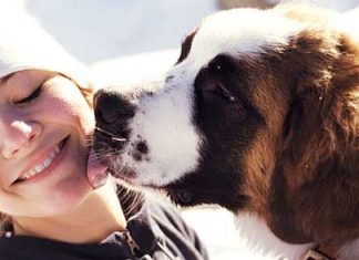 8 Ways Your Dog Shows That They Love You