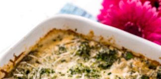 Spinach Alfredo Pasta