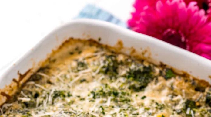 Spinach Alfredo Pasta