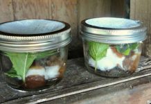 5 Natural Tips For Keeping Flies Out Of Your House