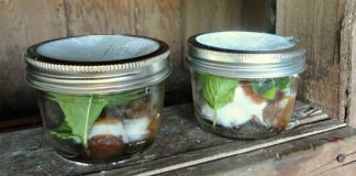 5 Natural Tips For Keeping Flies Out Of Your House