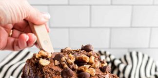 Walnut Brownies Recipe