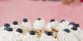 No Bake Blueberry Cheesecake Recipe