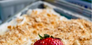 No Bake Berry Dessert Lush Recipe