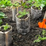 9 ways to use newspaper in the garden!