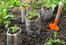 9 ways to use newspaper in the garden!