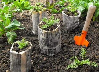 9 ways to use newspaper in the garden!