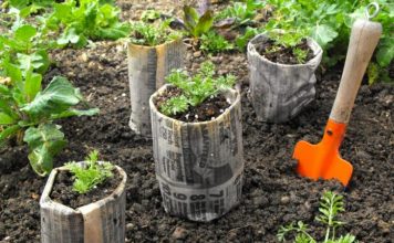 9 ways to use newspaper in the garden!