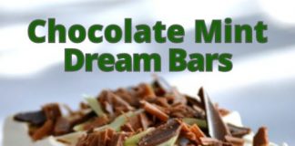 Chocolate Mint Dream Bars
