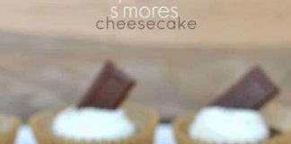 S’more Cheesecakes