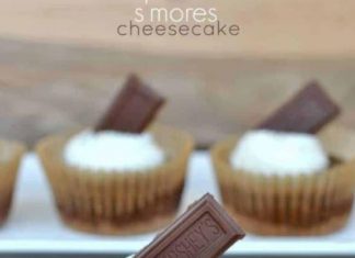 S’more Cheesecakes