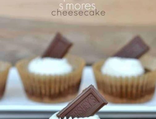 S’more Cheesecakes
