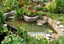 In 2 hours, build a pond for your garden!
