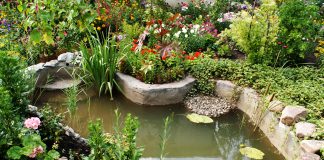 In 2 hours, build a pond for your garden!