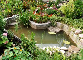 In 2 hours, build a pond for your garden!