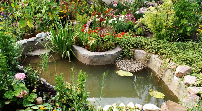 In 2 hours, build a pond for your garden!