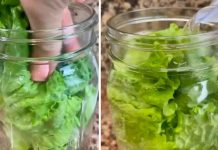 How do you keep lettuce fresh for weeks?