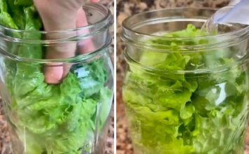How do you keep lettuce fresh for weeks?