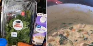 Chicken Gnocchi Soup