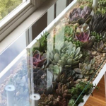 BloomingTables – A unique way to showcase your plants