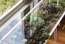 BloomingTables – A unique way to showcase your plants