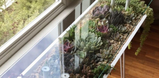 BloomingTables – A unique way to showcase your plants