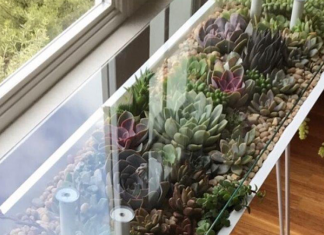 BloomingTables – A unique way to showcase your plants