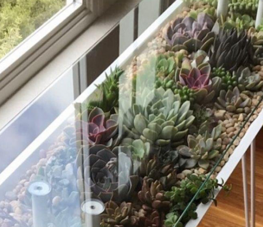 BloomingTables – A unique way to showcase your plants