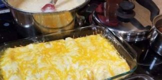Cream Cheese Chicken Enchiladas