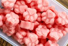 Watermelon Dog Treats
