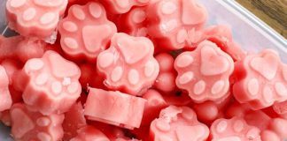 Watermelon Dog Treats