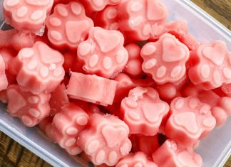 Watermelon Dog Treats