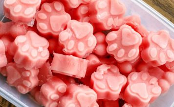 Watermelon Dog Treats