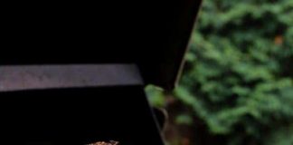 EASY BEER CAN CHICKEN RECIPE (MADE ON A GRILL!)