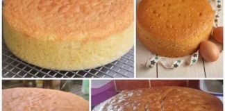 SPONGE CAKE OF MY STYLE