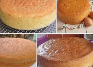 SPONGE CAKE OF MY STYLE