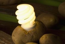 A Single Boiled Potato Can Power A Light For 40 Days