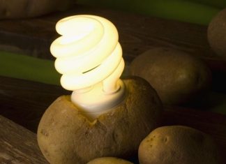 A Single Boiled Potato Can Power A Light For 40 Days