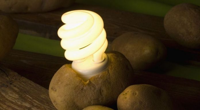 A Single Boiled Potato Can Power A Light For 40 Days