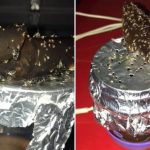 How To Rid Your Home Of Fruit Flies
