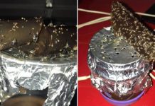 How To Rid Your Home Of Fruit Flies