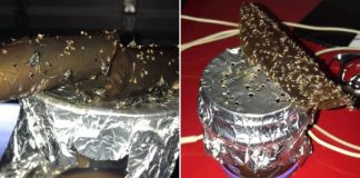 How To Rid Your Home Of Fruit Flies