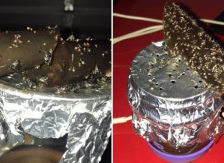 How To Rid Your Home Of Fruit Flies